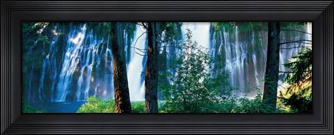 Framed Waterfall in a forest, McArthur-Burney Falls Memorial State Park, California Print