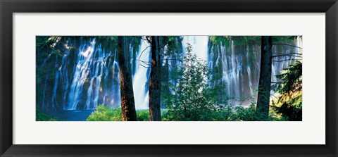 Framed Waterfall in a forest, McArthur-Burney Falls Memorial State Park, California Print