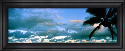 Framed Palm tree on the beach, Hawaii, USA Print