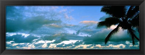 Framed Palm tree on the beach, Hawaii, USA Print