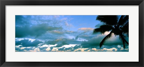 Framed Palm tree on the beach, Hawaii, USA Print