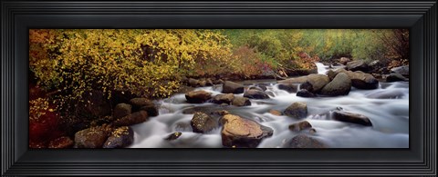 Framed Stream flowing through a forest, Inyo County, California, USA Print