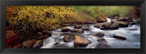 Framed Stream flowing through a forest, Inyo County, California, USA Print