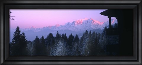 Framed Trees with snow covered mountains at sunset in winter, Combloux, Mont Blanc Massif, Haute-Savoie, Rhone-Alpes, France Print
