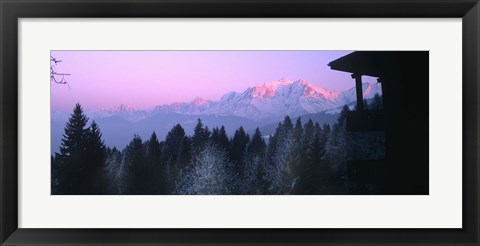 Framed Trees with snow covered mountains at sunset in winter, Combloux, Mont Blanc Massif, Haute-Savoie, Rhone-Alpes, France Print