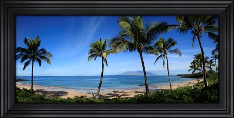 Framed Palm trees on the beach, Maui, Hawaii, USA Print