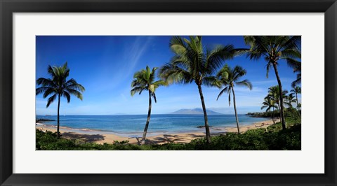 Framed Palm trees on the beach, Maui, Hawaii, USA Print