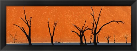 Framed Dead trees by red sand dunes, Dead Vlei, Namib-Naukluft National Park, Namibia Print