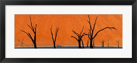 Framed Dead trees by red sand dunes, Dead Vlei, Namib-Naukluft National Park, Namibia Print