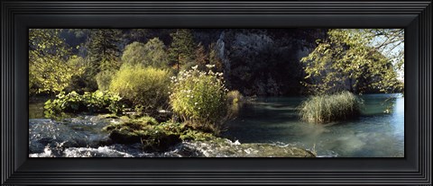 Framed Trees and plants at the lakeside, Plitvice Lake, Plitvice Lakes National Park, Croatia Print