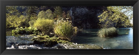 Framed Trees and plants at the lakeside, Plitvice Lake, Plitvice Lakes National Park, Croatia Print