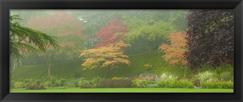 Framed Colored Trees in Butchart Gardens, Vancouver Island, British Columbia, Canada Print