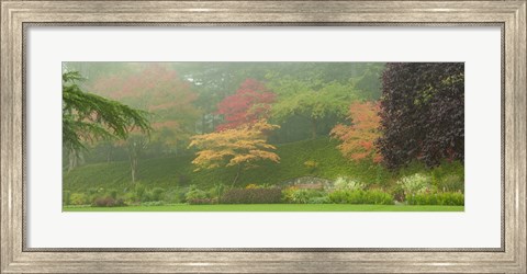 Framed Colored Trees in Butchart Gardens, Vancouver Island, British Columbia, Canada Print