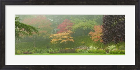 Framed Colored Trees in Butchart Gardens, Vancouver Island, British Columbia, Canada Print