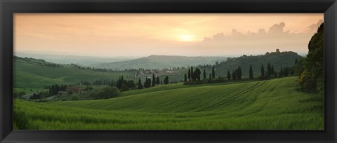 Framed Trees on a hill, Monticchiello Di Pienza, Val d&#39;Orcia, Siena Province, Tuscany, Italy Print