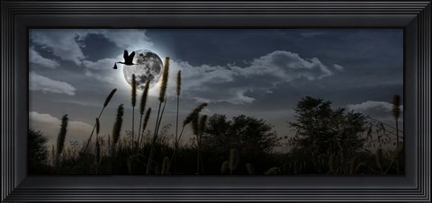 Framed Stork with a baby flying over moon Print