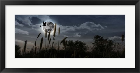 Framed Stork with a baby flying over moon Print