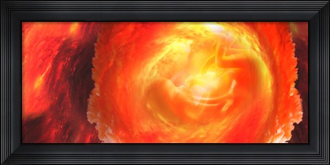 Framed Baby in uterus Print