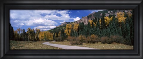 Framed Road passing through a forest, Jackson Guard Station, Ridgway, Colorado, USA Print