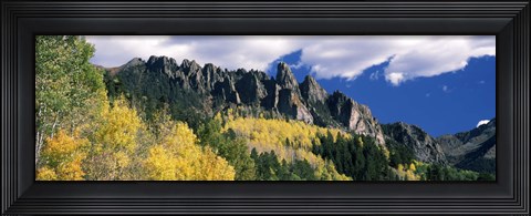 Framed Forest on a mountain, Jackson Guard Station, Ridgway, Colorado, USA Print