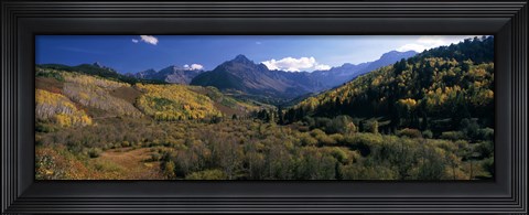 Framed Trees on mountains, State Highway 62, Ridgway, Colorado, USA Print