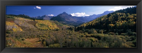 Framed Trees on mountains, State Highway 62, Ridgway, Colorado, USA Print