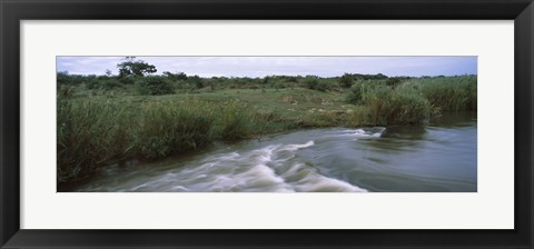 Framed River flowing through a forest, Sabie River, Kruger National Park, South Africa Print