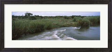 Framed River flowing through a forest, Sabie River, Kruger National Park, South Africa Print
