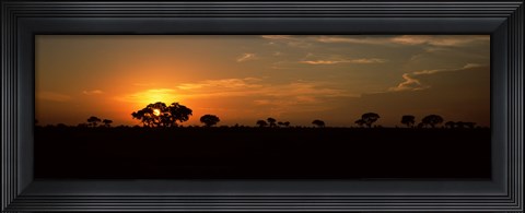 Framed Sunset over the savannah plains, Kruger National Park, South Africa Print