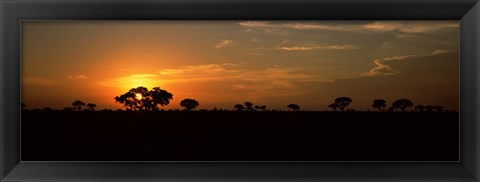 Framed Sunset over the savannah plains, Kruger National Park, South Africa Print