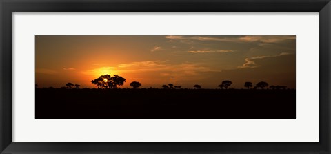 Framed Sunset over the savannah plains, Kruger National Park, South Africa Print