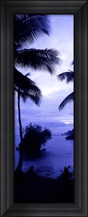 Framed Palm trees on the coast, Colombia (purple and blue) Print