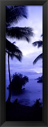 Framed Palm trees on the coast, Colombia (purple and blue) Print