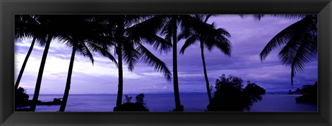 Framed Palm trees on the coast, Colombia (purple horizontal) Print