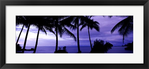 Framed Palm trees on the coast, Colombia (purple horizontal) Print