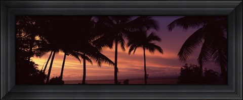 Framed Palm trees on the coast, Colombia (pink sky) Print