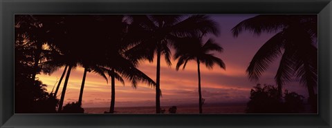 Framed Palm trees on the coast, Colombia (pink sky) Print