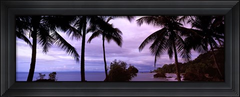 Framed Palm trees on the coast, Colombia (purple sky with clouds) Print