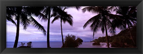 Framed Palm trees on the coast, Colombia (purple sky with clouds) Print