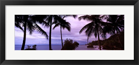 Framed Palm trees on the coast, Colombia (purple sky with clouds) Print
