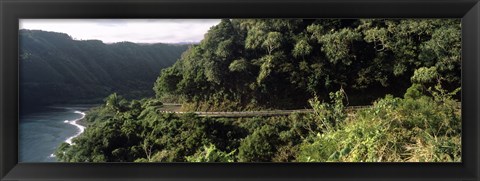 Framed Hana Highway, Maui, Hawaii Print