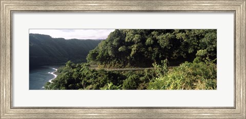 Framed Hana Highway, Maui, Hawaii Print