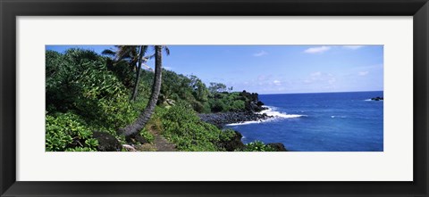 Framed Palm trees with plants growing at a coast, Black Sand Beach, Hana Highway, Waianapanapa State Park, Maui, Hawaii, USA Print
