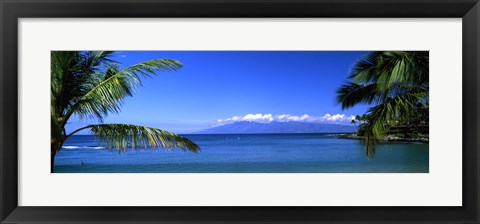 Framed Palm trees on the beach, Kapalua Beach, Molokai, Maui, Hawaii, USA Print