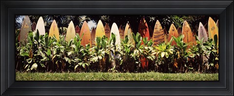 Framed Surfboard fence in a garden, Maui, Hawaii, USA Print