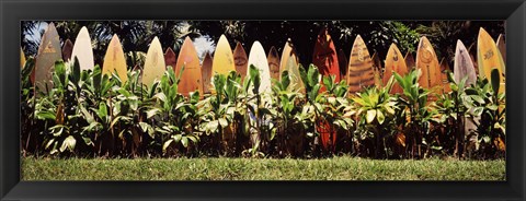 Framed Surfboard fence in a garden, Maui, Hawaii, USA Print