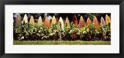 Framed Surfboard fence in a garden, Maui, Hawaii, USA Print