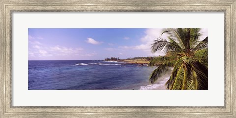 Framed Palm tree on the beach, Hamoa Beach, Hana, Maui, Hawaii, USA Print