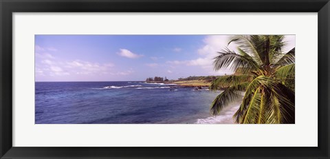 Framed Palm tree on the beach, Hamoa Beach, Hana, Maui, Hawaii, USA Print