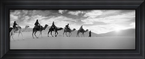 Framed Tourists riding camels through the Sahara Desert landscape led by a Berber man, Morocco (black and white) Print